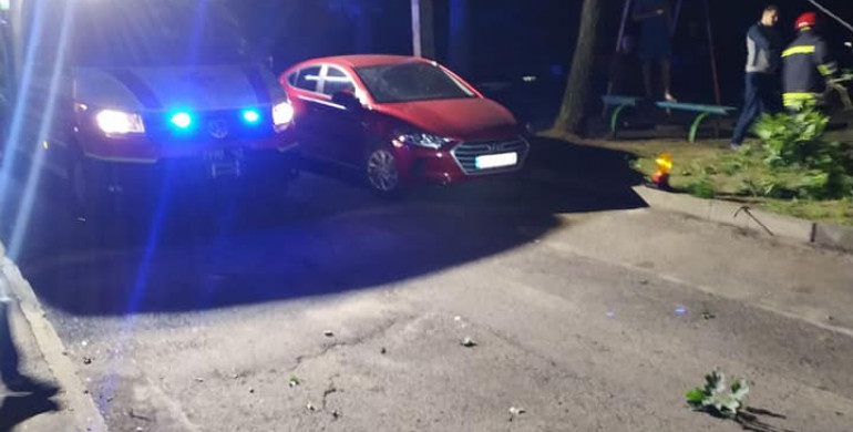 Вночі на Соборній  дерево потрощило автомобілі та електроопору (ФОТО)